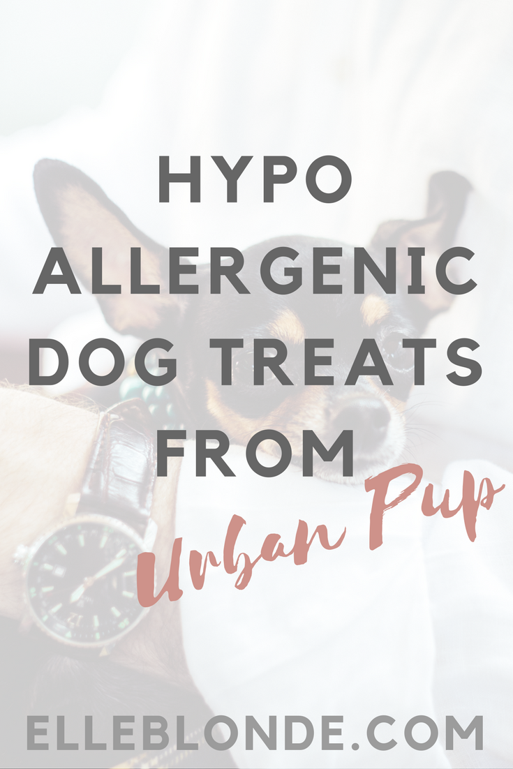 pinterest-graphic-fish-bone-dog-treats-urban-pup-hypoallergenic-dog-treats-than-you-bones-elle-blonde-luxury-lifestyle-destination-blog