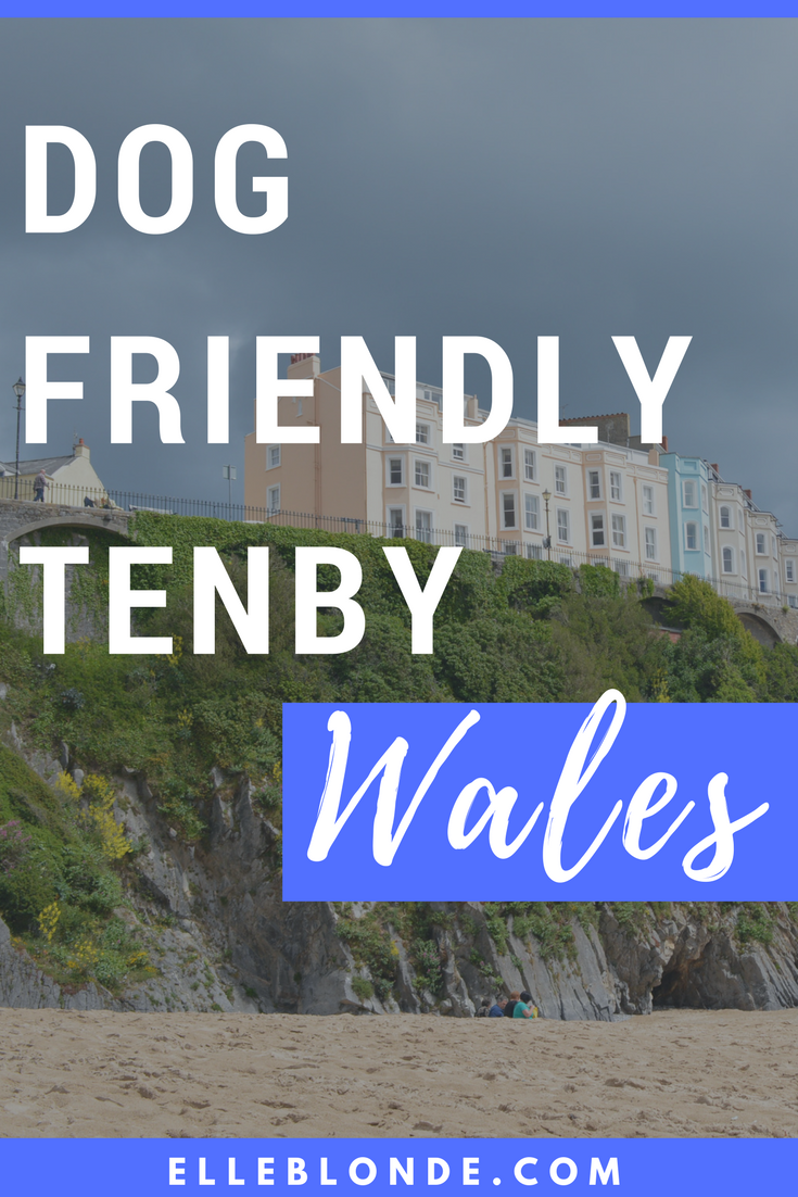 cocktails-dog-friendly-holiday-pembrokeshire-wales-tenby-south-beach-sobe-elle-blonde-luxury-lifestyle-destination-blog