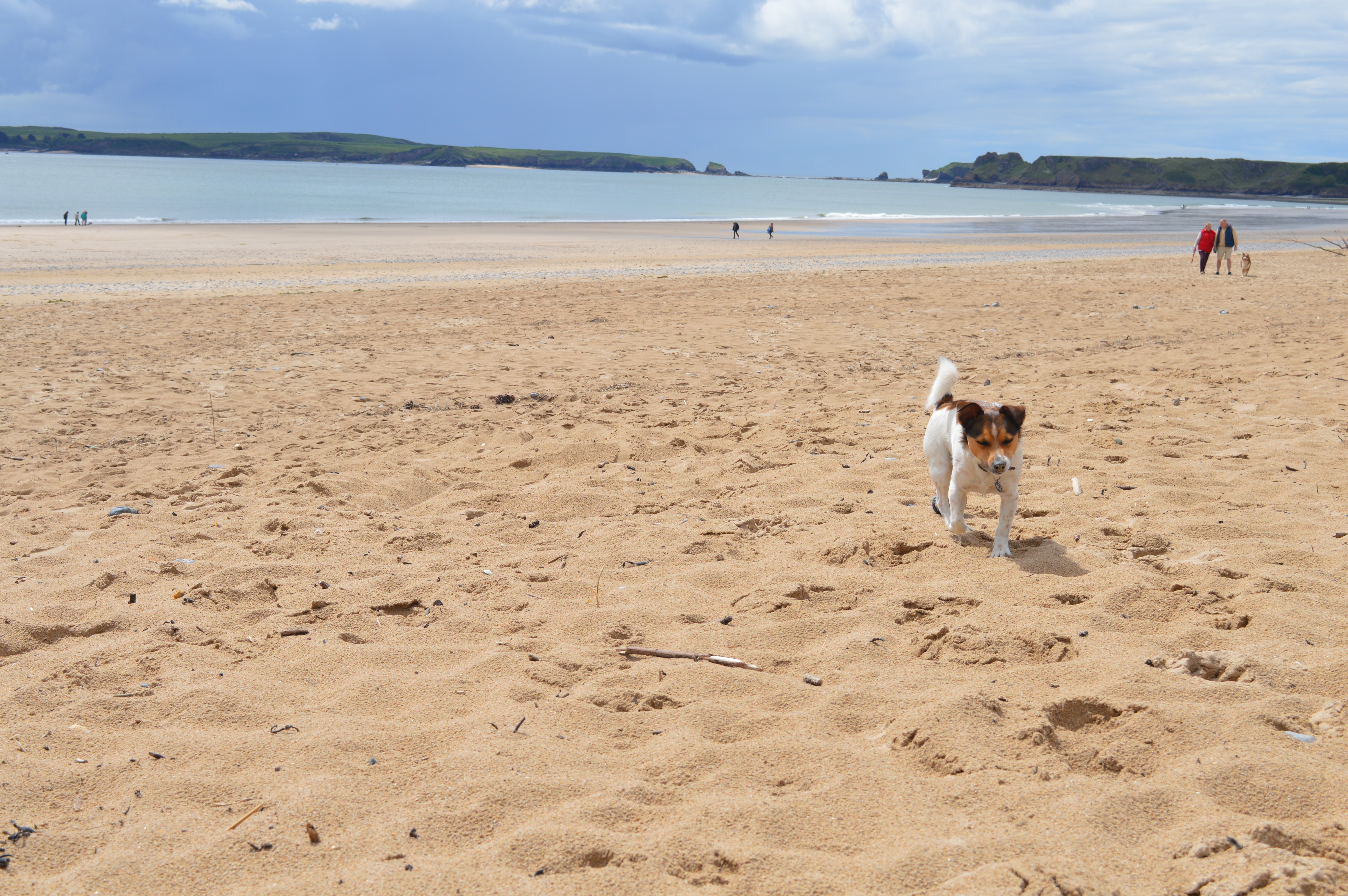 dog-beach-dog-friendly-holiday-pembrokeshire-wales-tenby-south-beach-sobe-elle-blonde-luxury-lifestyle-destination-blog