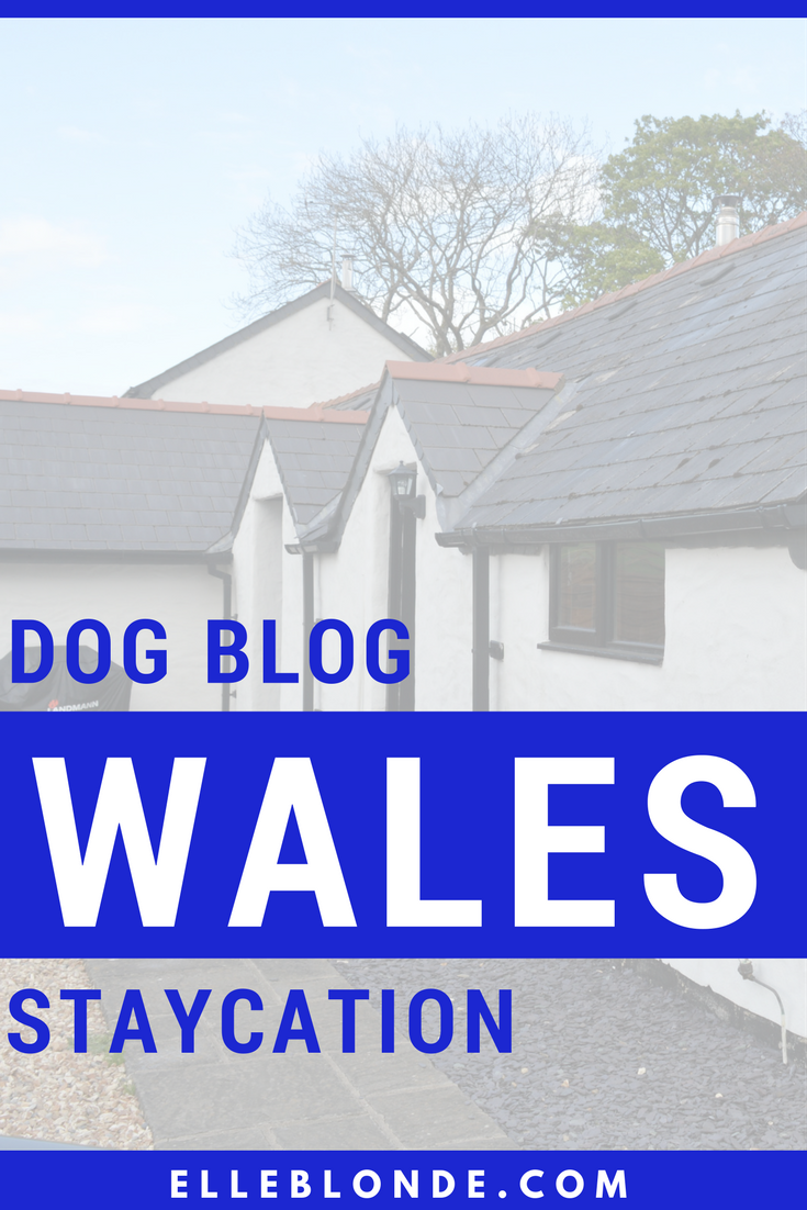 Dog Blog | Staycations for you and your dog in the UK | Pembrokeshire Wales | Elle Blonde Luxury Lifestyle Destination Blog