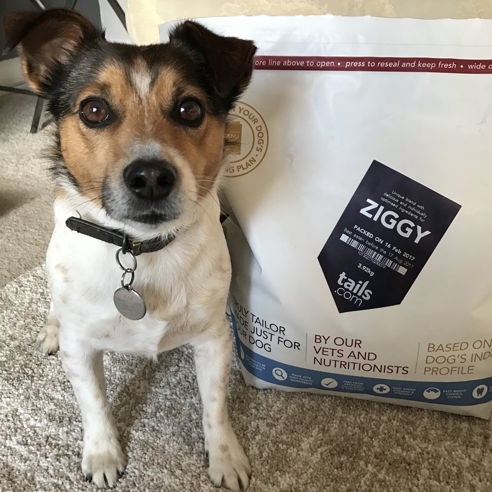 5 Quality Dog Foods To Feed Your Puppy Or Dog 1
