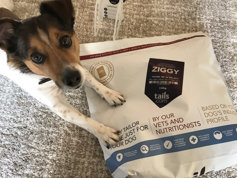 5 Quality Dog Foods To Feed Your Puppy Or Dog 4