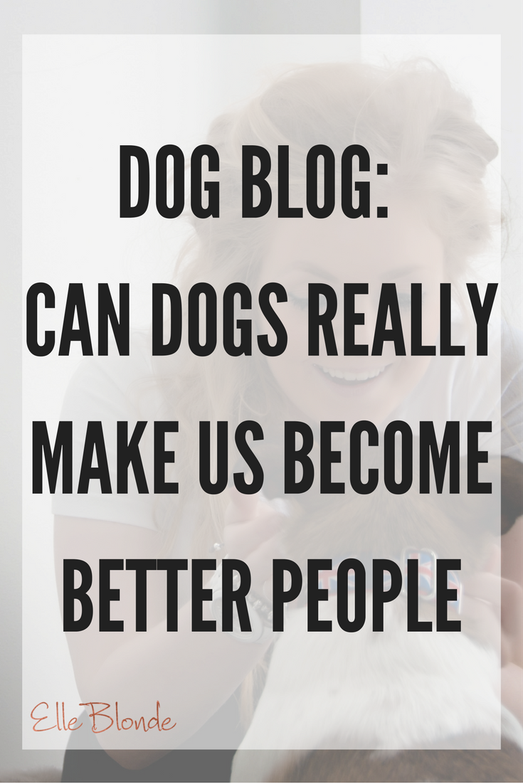 Dog Blog: Why Dogs Are Much Better Than People 7