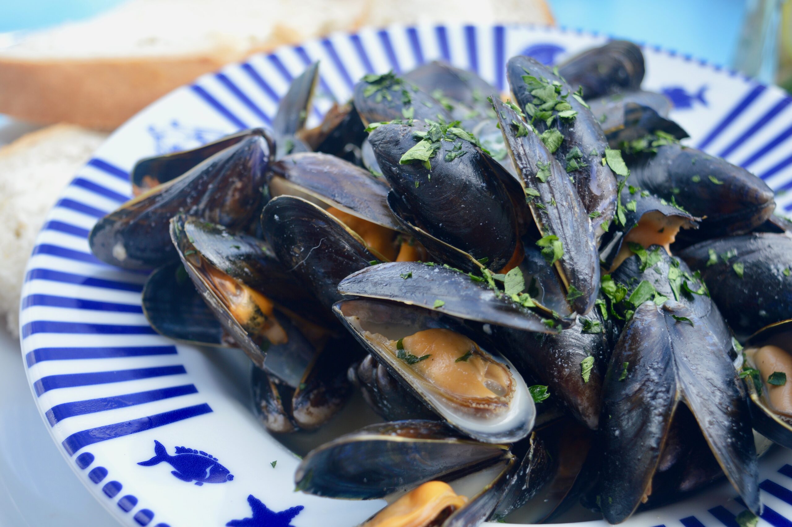 Mussels-Crab-Waltzer-Review-Whitley-Bay-Seaside-Cafe-Elle-Blonde-Luxury-Lifestyle-Destination
