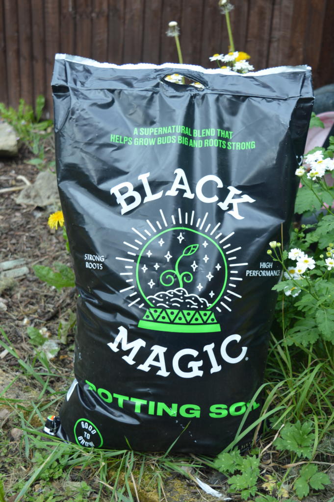 Which Miracle-Gro Is Best For My Garden? 9