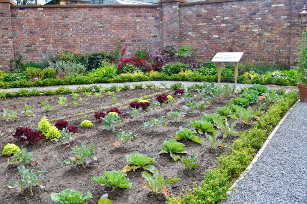 Vegetable-Patch-Vauxhall-Crossland-X-The-Lingholm-Kitchen-Estate-Keswick-Lake-District-Elle-Blonde-Luxury-Lifestyle-Destination-Blog