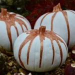 How to Paint a Pumpkin for Halloween | White & Rose Gold