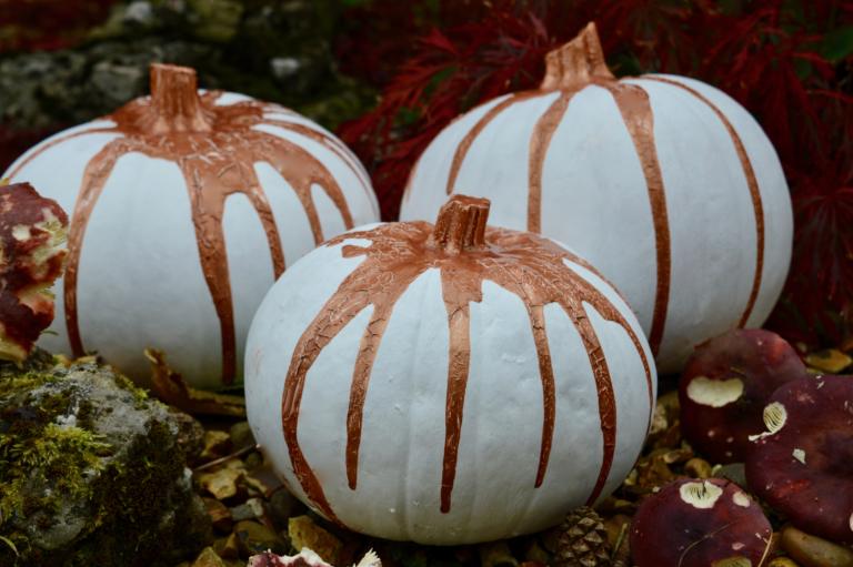Read more about the article How to Paint a Pumpkin for Halloween | White & Rose Gold