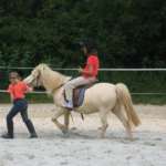 3 Amazing Pros And Cons Of Buying Your Child A Horse