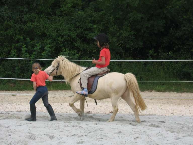 Read more about the article 3 Amazing Pros And Cons Of Buying Your Child A Horse