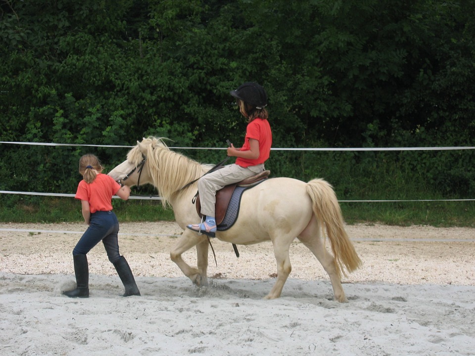 Buying your child a horse | The pros and cons | Elle Blonde Luxury Lifestyle Destination Blog