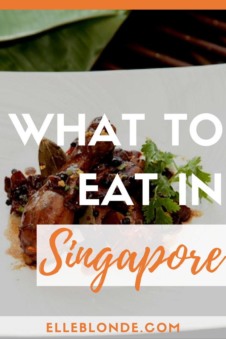 What to eat in Singapore | Traditional cuisine | Elle Blonde Luxury Lifestyle Destination Blog