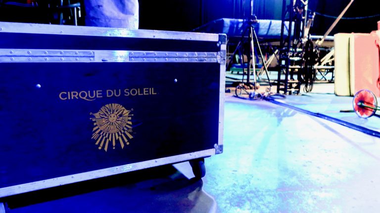 Read more about the article Cirque du Soleil OVO