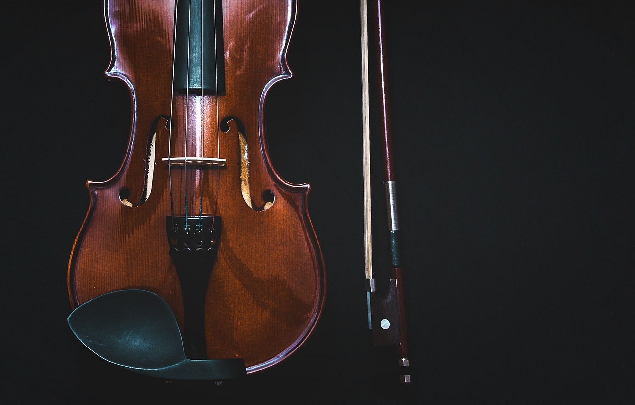 Choosing the correct viola bow for your instrument | Musical guide | Elle Blonde Luxury Lifestyle Destination Blog