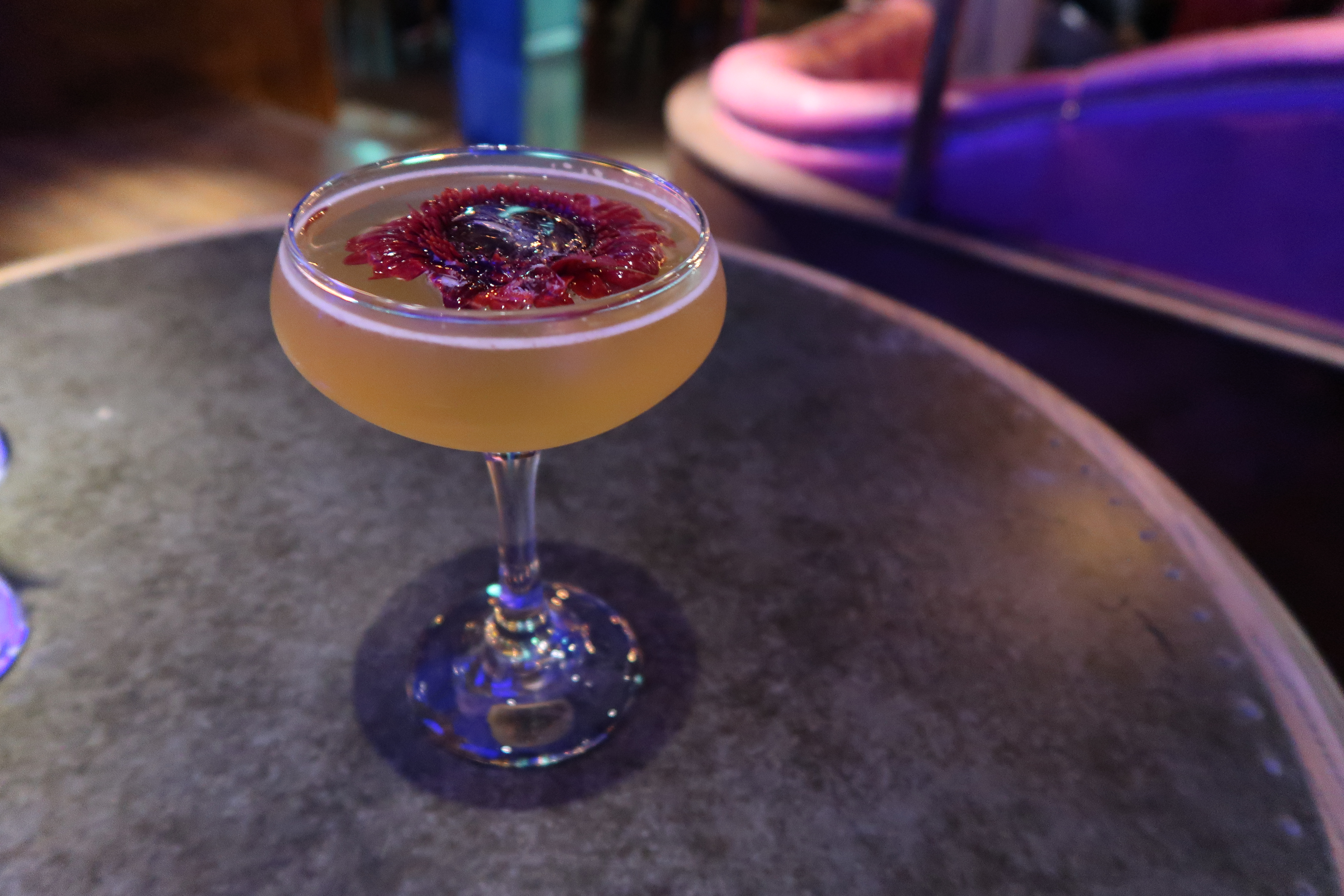 The Palm Sunderland: Tropicuba Review 83