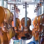 4 Vital Secrets to Know When Choosing Viola Bow