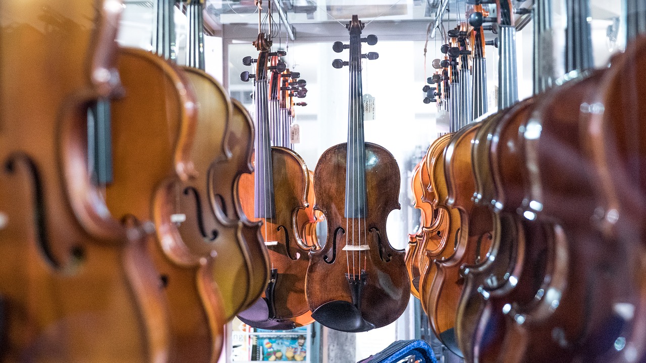 4 Vital Secrets To Know When Choosing Viola Bow - Music Guide