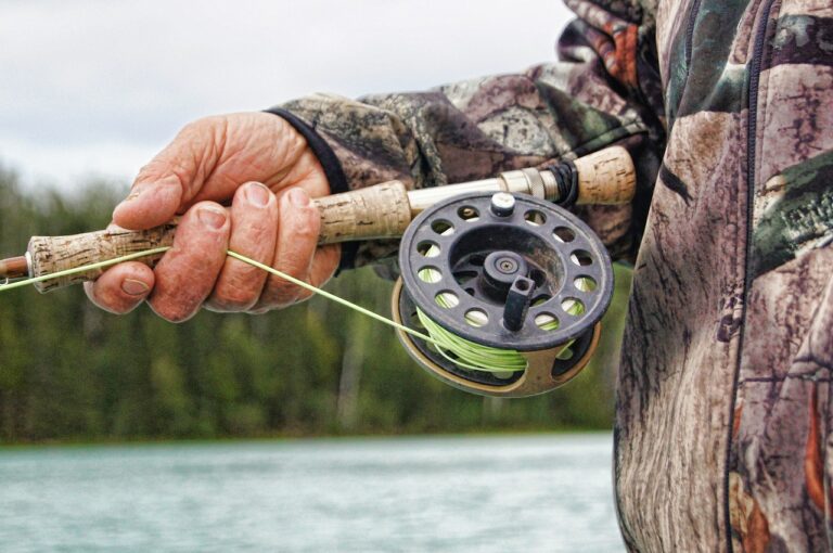 Read more about the article 3 Easy Reasons Why You Should Use Live Bait for Fishing