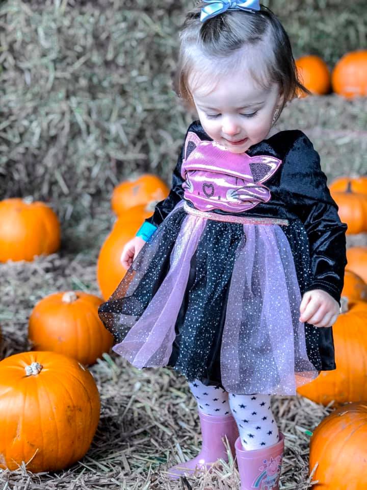 Halloween Pumpkin Patch Picking | Elle Blonde Luxury Lifestyle Destination Blog