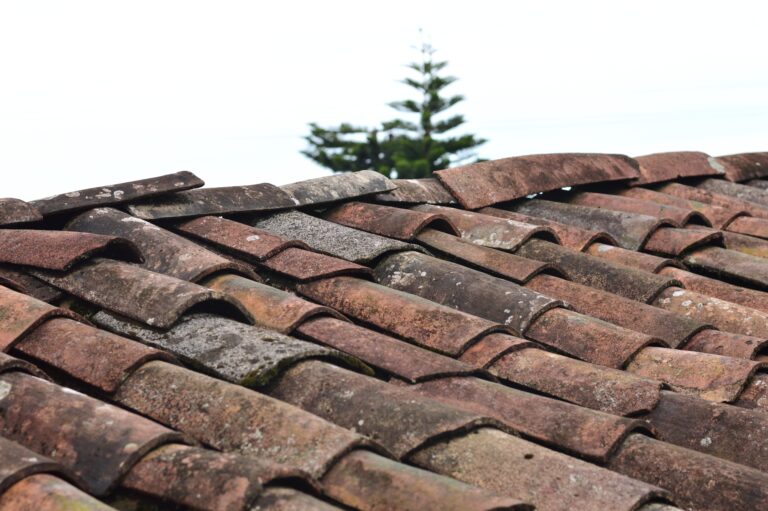 Read more about the article 6 Ways Gutter Cleaning And Roof Health Are Interconnected