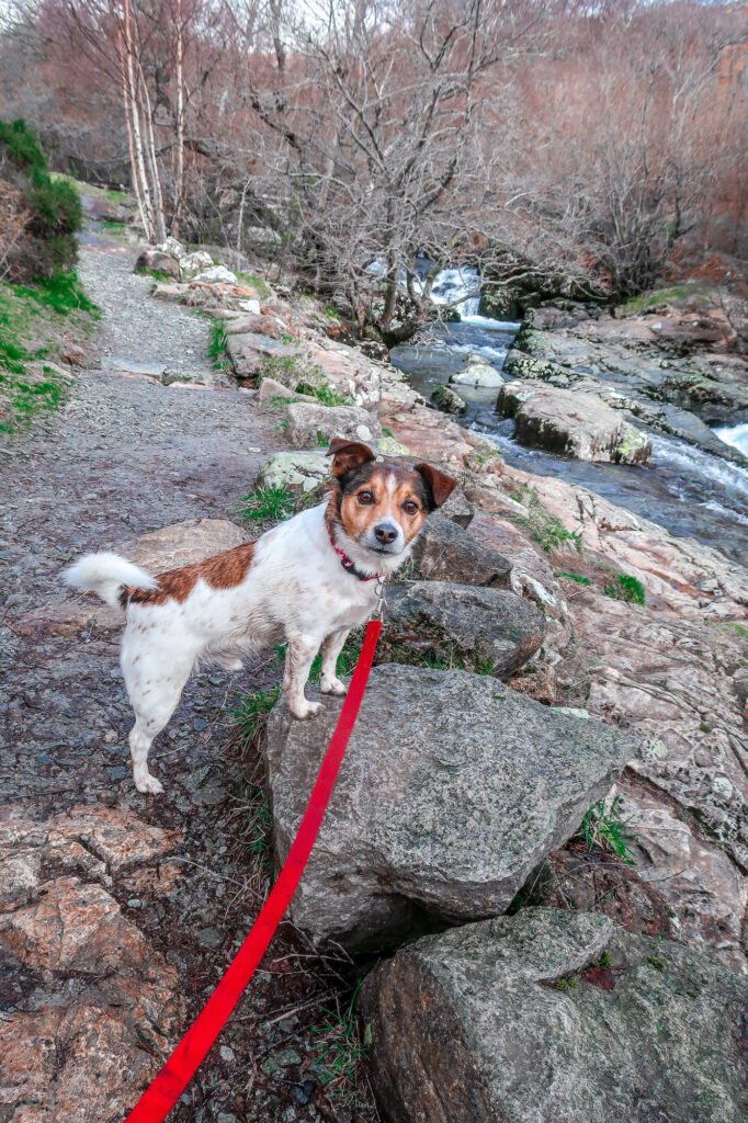 Aira Force in the Lake District | Places to visit and good walks | Waterfall | Travel Guide | Elle Blonde Luxury Lifestyle Destination Blog | outside classroom