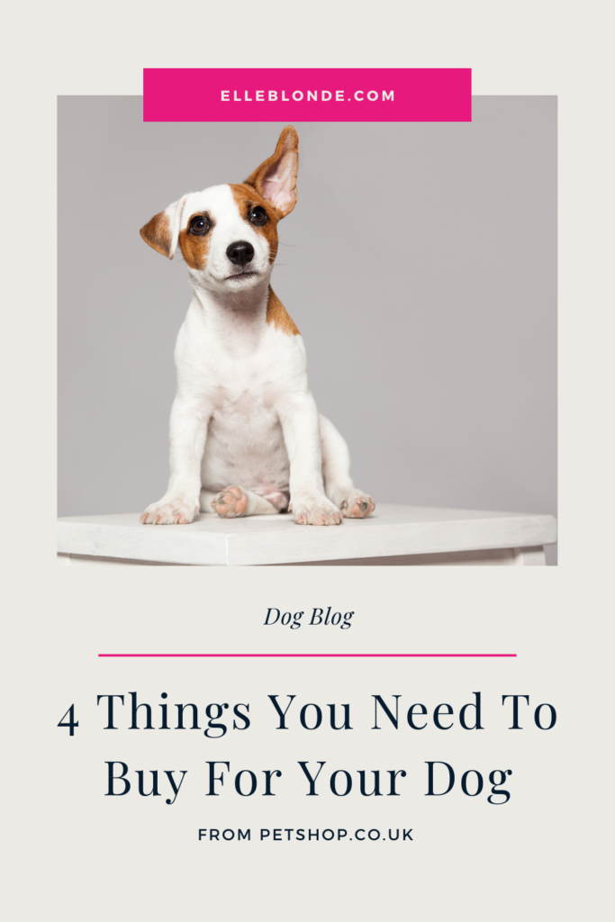 Petshop.co.uk Toys and Treat Dog Haul | 4 Things You Need To Buy Your Dog | Dog Blog | elle Blonde Luxury Lifestyle Destination Blog