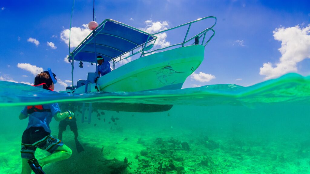 The best diving spots in Komodo Island Indonesia for sealife spotting. Glass bottom boat | Travel guide & tips | Elle Blonde Luxury Lifestyle Destination Blog