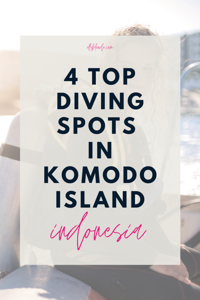 The best diving spots in Komodo Island Indonesia for sealife spotting. Glass bottom boat | Travel guide & tips | Elle Blonde Luxury Lifestyle Destination Blog