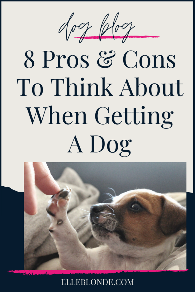 8 Pros & Cons To Think About When Getting A Dog | Dog Blog | Elle Blonde Luxury Lifestyle Destination Blog