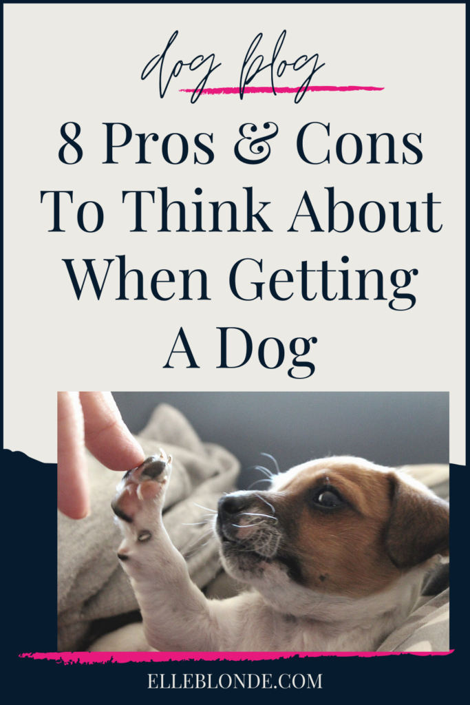 8 Top Pros & Cons You Need To Know About Owning A Dog - Elle Blonde Luxury Lifestyle Blog