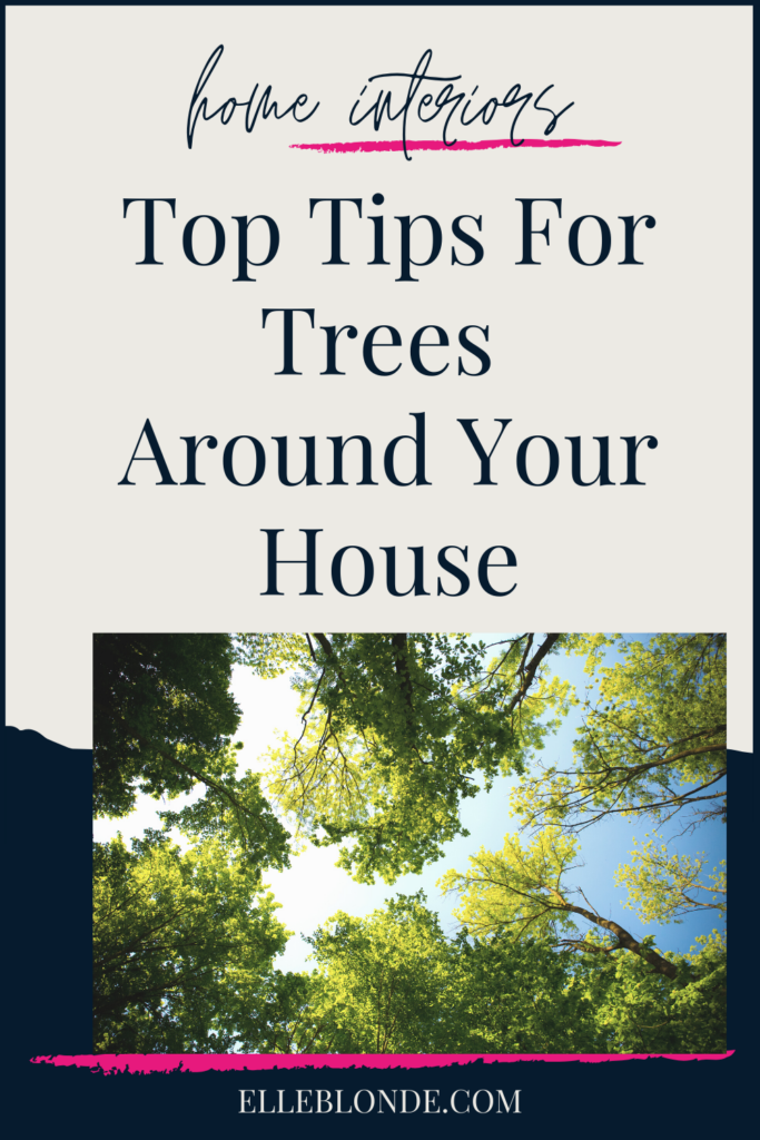 Top Tips For Taking Care Of Trees Around Your Home | Home Interior Tips | Elle Blonde Luxury Lifestyle Destination Blog