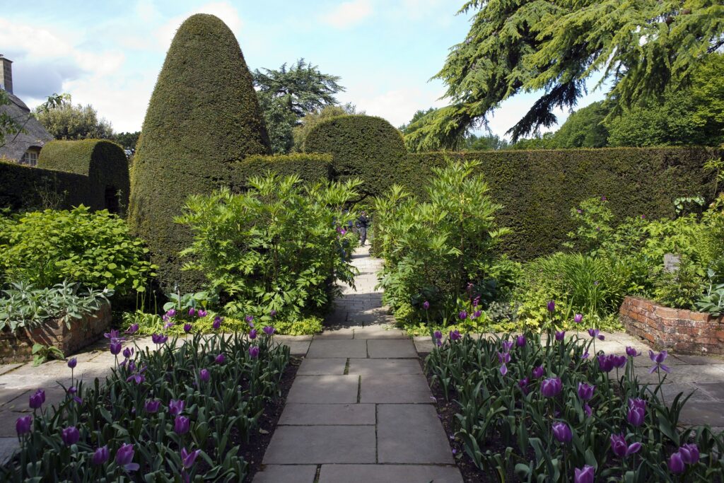 Ornamental Grasses | Improve your garden with paving | Home Interiors | Elle Blonde Luxury Lifestyle Destination Blog | DIY