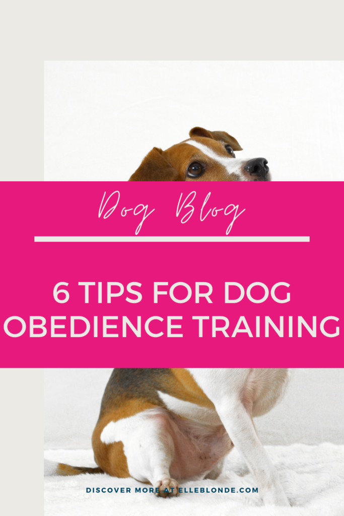 Dog Obedience Training Tips | Dog Blog | Elle Blonde Luxury Lifestyle Destination Blog