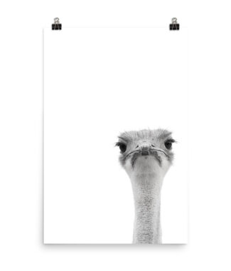 Watcha Lookin' At II - Monochrome Ostrich Print | Home Interiors | Elle Blonde Luxury Lifestyle Destination Blog