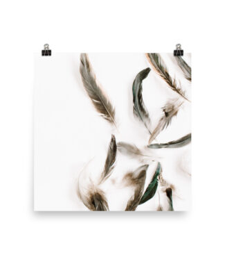 Fallen Feathers – Grey & Brown Feather Print