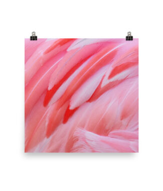 The Pink Plume – Flamingo Feather Print