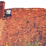 4 Reasons You Need A New Roof If You Have Worn-Out Shingles