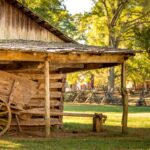 3 Easy Things To Consider When Buying A Shed