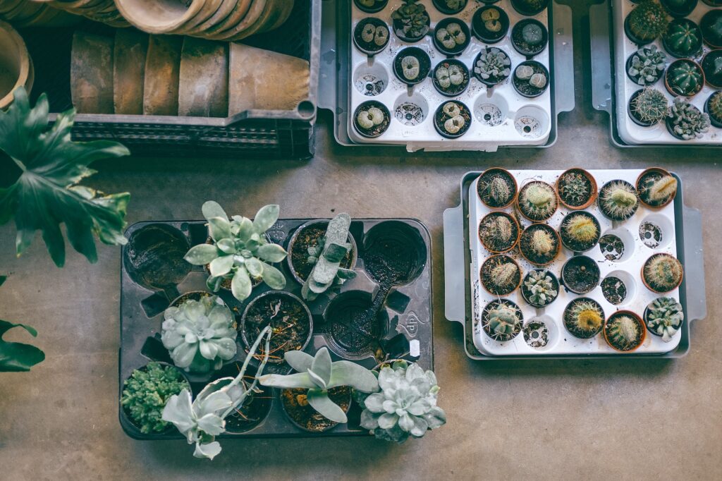 How to create the perfect vertical garden planter in your garden | Home Interiors | Elle Blonde Luxury Lifestyle Destination Blog