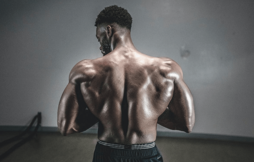 Useful Muscle Growing Tips From the Experts