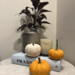 4 things you need to know about Decorating with Pumpkins this Halloween