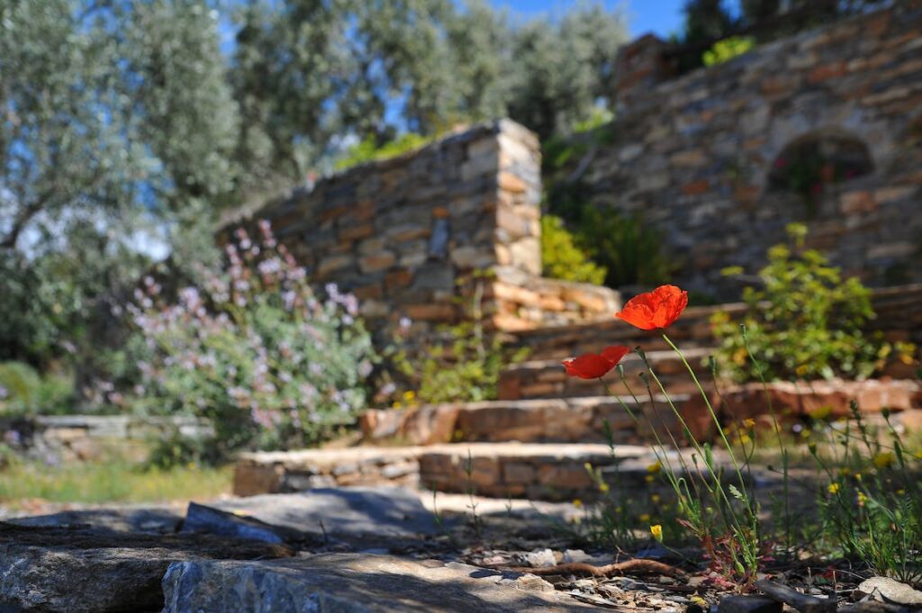 6 Creative Ways to Enhance the Beauty of Your Retaining Wall | Home Interiors | Elle Blonde Luxury Lifestyle Destination Blog