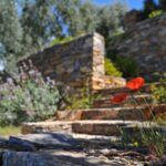 6 Creative Ways to Enhance the Beauty of Your Retaining Wall