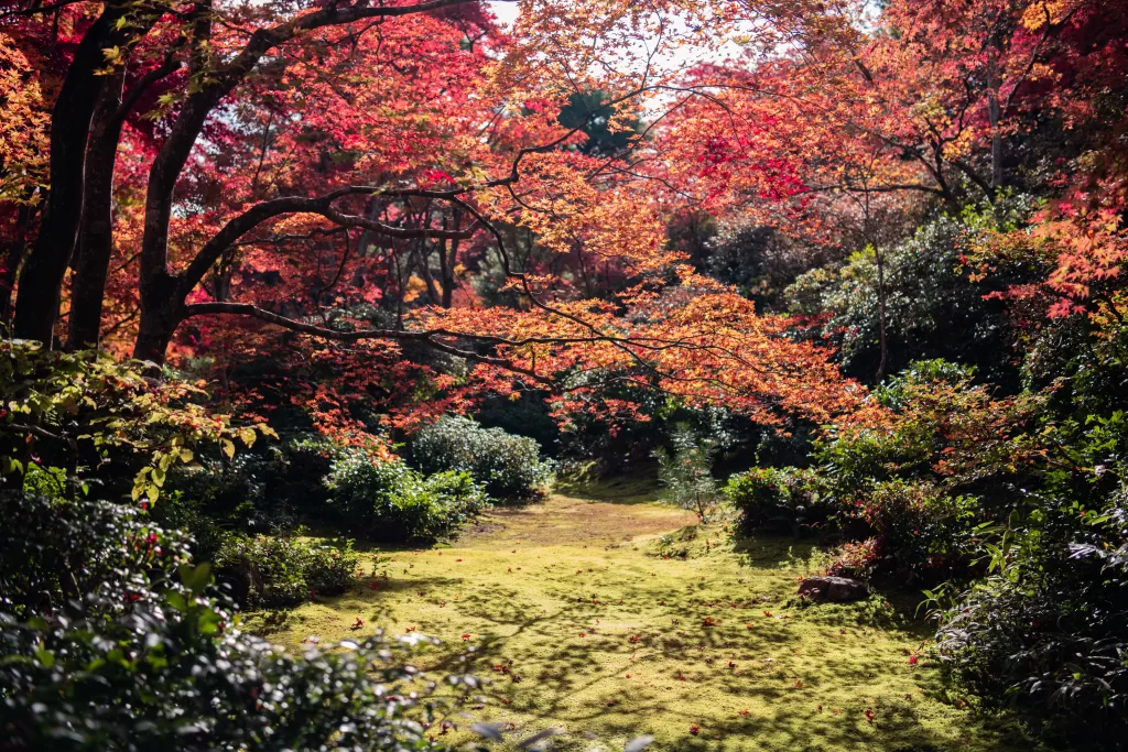 5 Amazing Ways To Explore Kinchakuda Manjushage Park 3