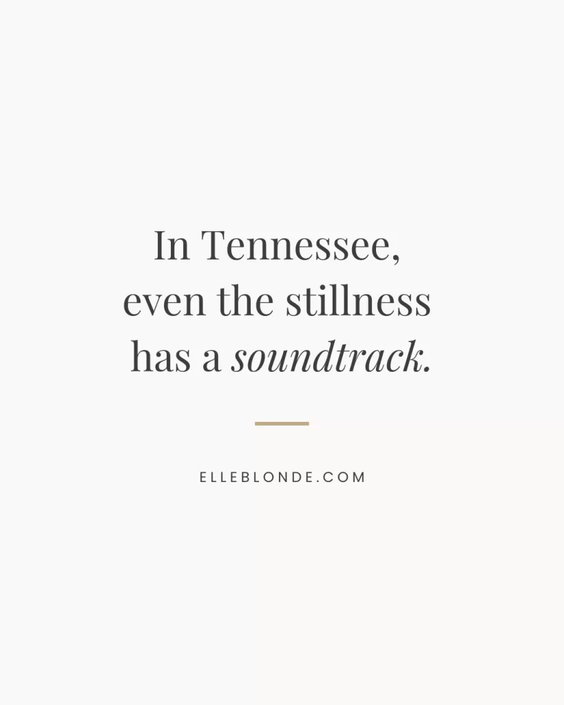 5 Amazing Places You Must Visit In Tennessee 4 5 Amazing Places You Must Visit In Tennessee 2