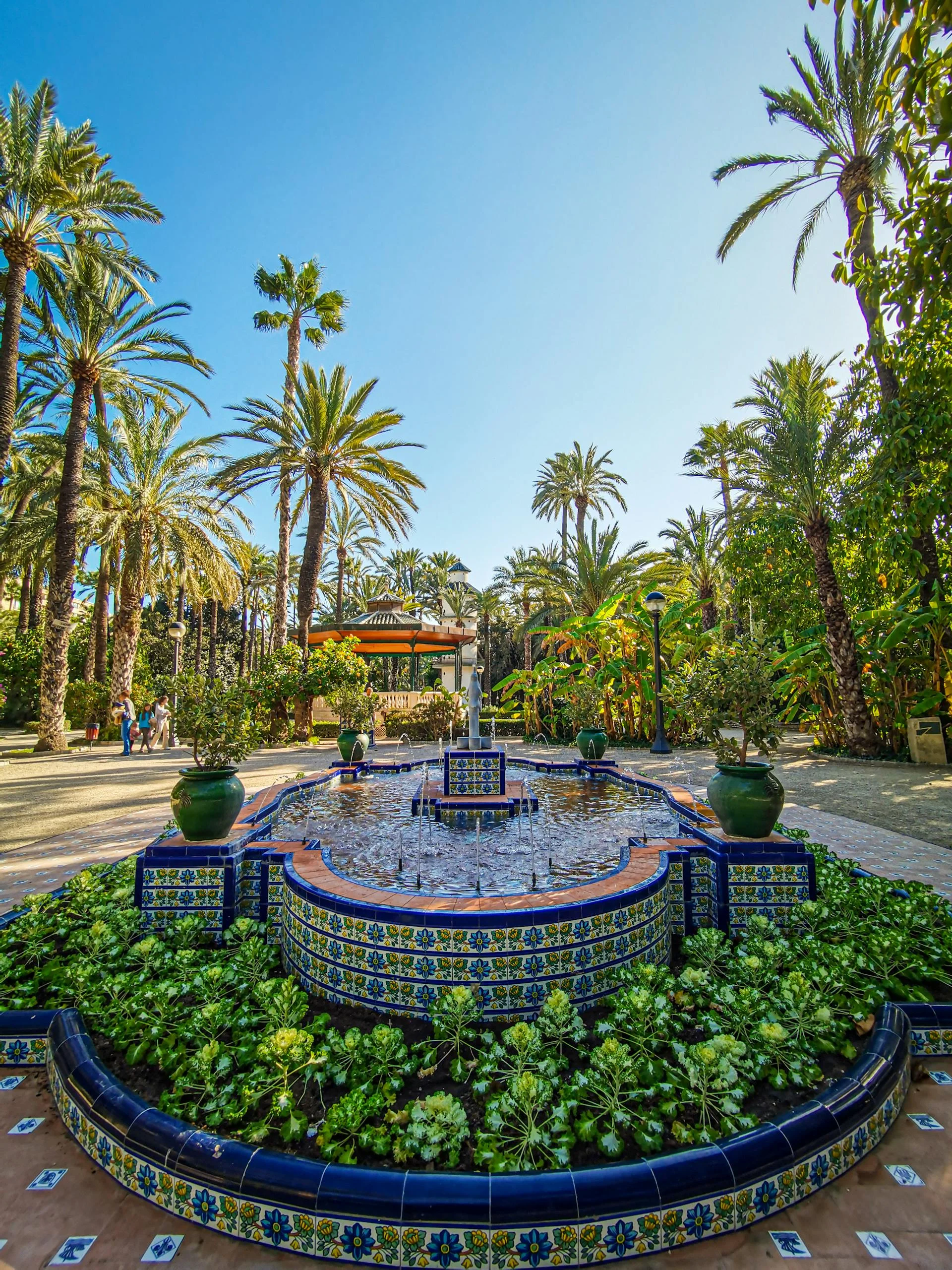 Beautiful fountain surrounded by palm trees in Elche's Palm Grove, Spain.