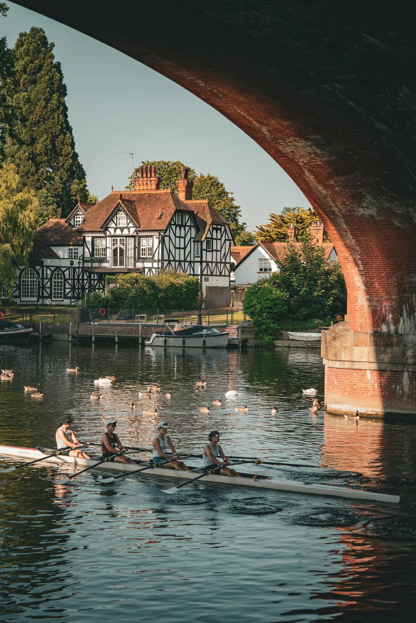 Scenic view of a rowing team under a bridge in London with Tudor houses and swans.