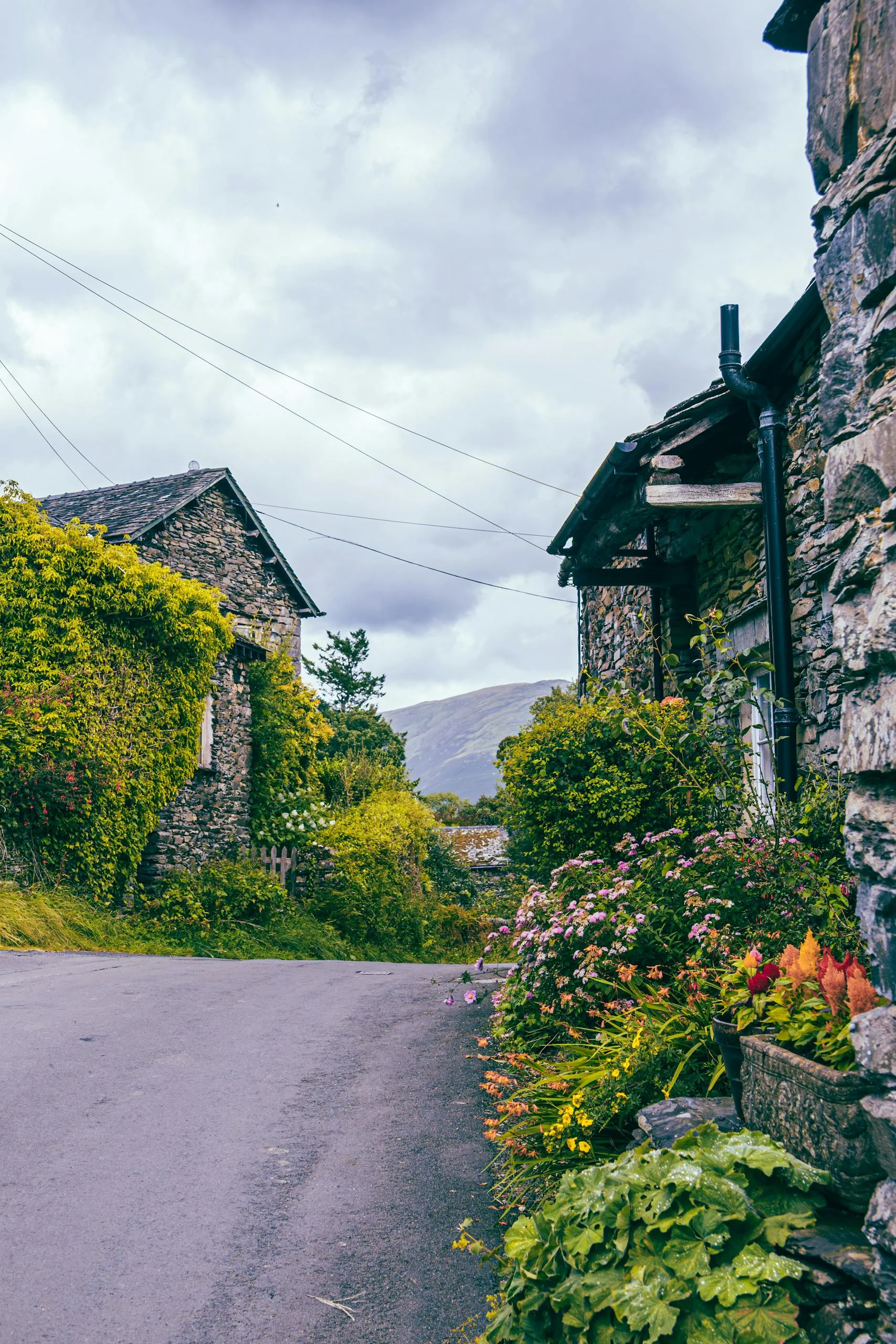 Stone Cottage Lane with Colourful Flowers and Hills Beyond