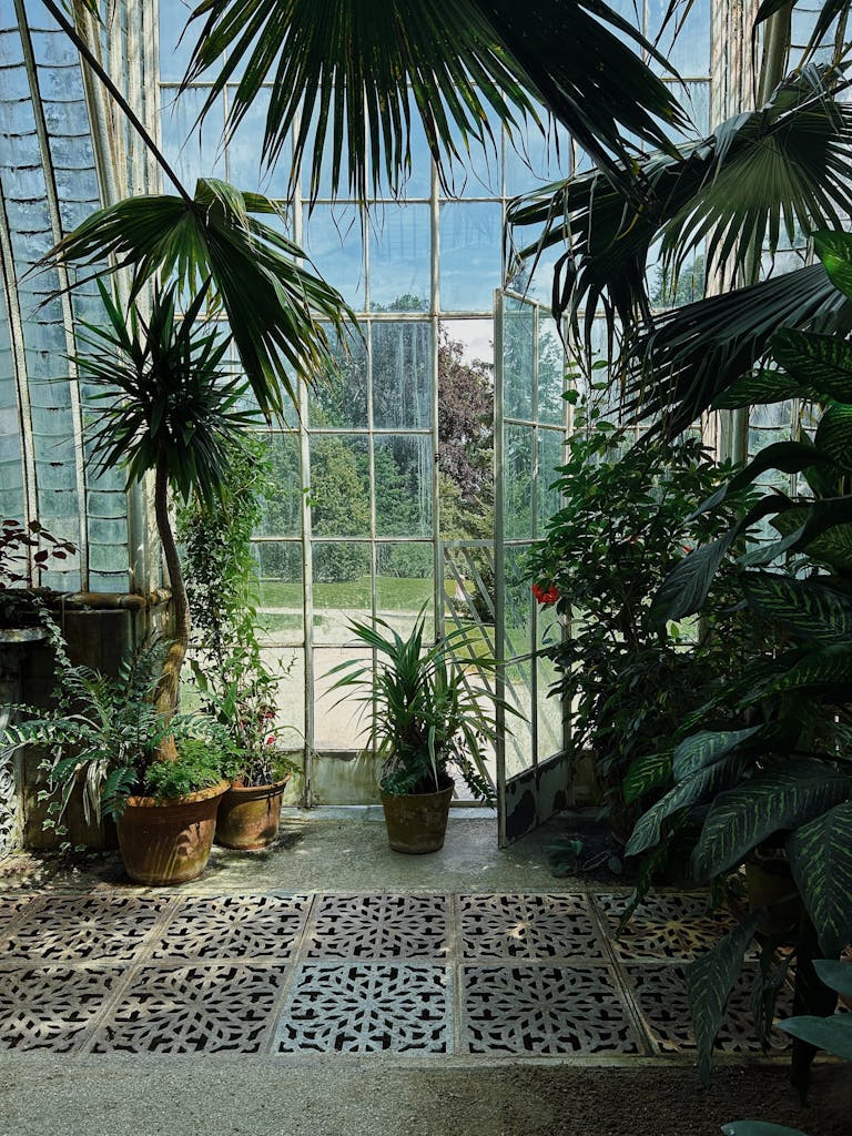 How to Transform Your Conservatory into a Luxe, Light Filled Home Office 3 Explore the lush tropical plants inside a stunning greenhouse in Lednice, Czechia.