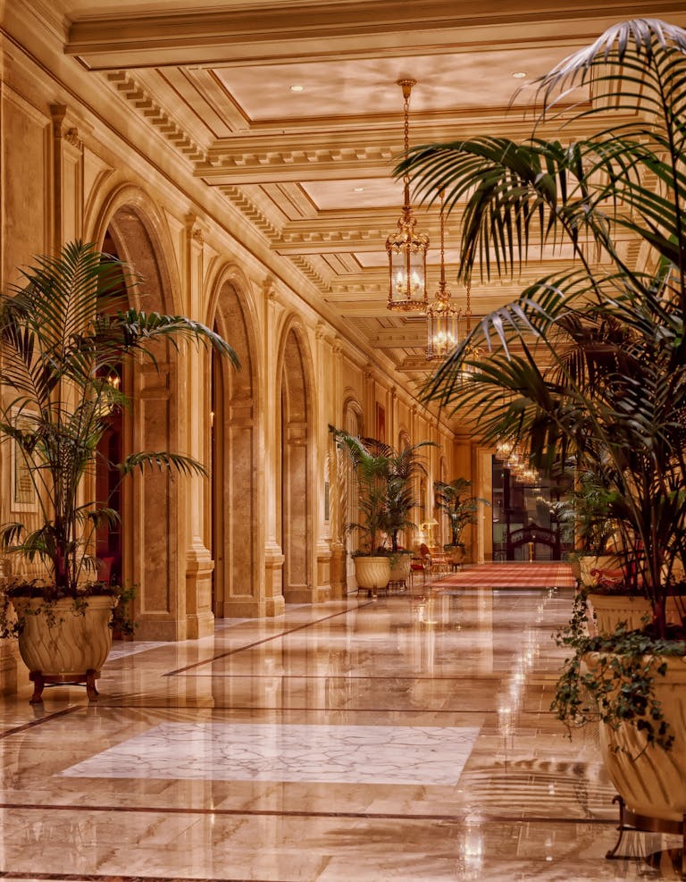 Luxurious hotel lobby featuring elegant lighting and marble flooring, accented by lush indoor plants. | luxury leisure